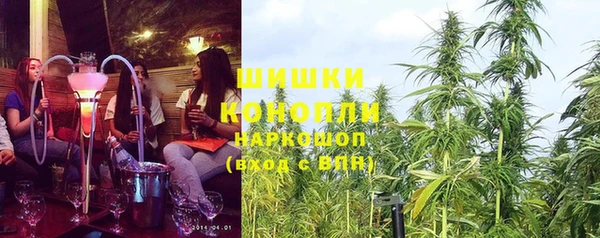 спайс Алексин