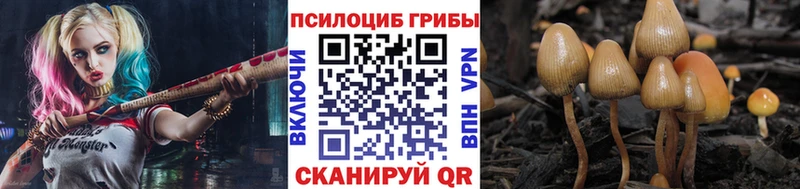 что такое наркотик ссылка на мегу ССЫЛКА Галлюциногенные грибы Psilocybine cubensis Мураши